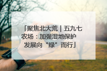 聚焦北大荒｜五九七农场：加强湿地保护 发展向“绿”而行