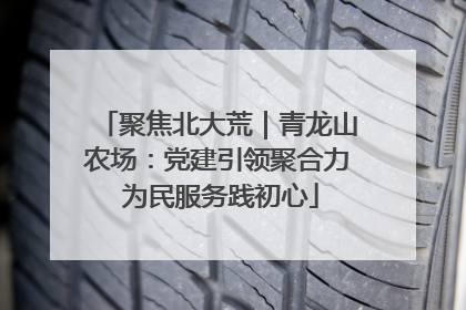 聚焦北大荒｜青龙山农场：党建引领聚合力 为民服务践初心