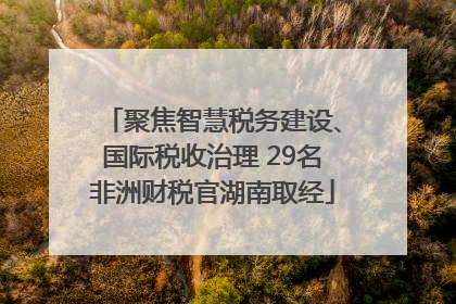 聚焦智慧税务建设、国际税收治理 29名非洲财税官湖南取经