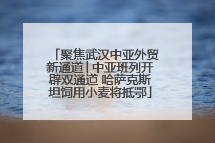 聚焦武汉中亚外贸新通道│中亚班列开辟双通道 哈萨克斯坦饲用小麦将抵鄂