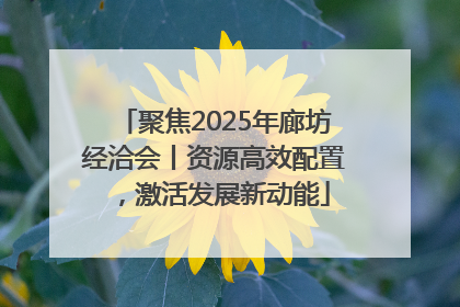 聚焦2025年廊坊经洽会丨资源高效配置，激活发展新动能