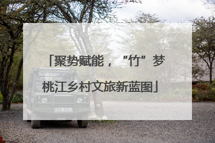 聚势赋能，“竹”梦桃江乡村文旅新蓝图