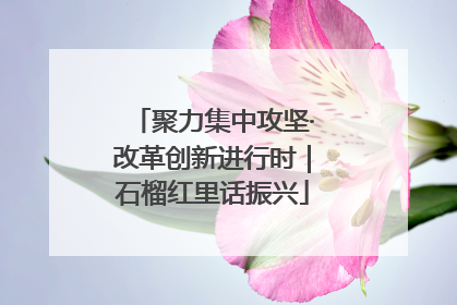 聚力集中攻坚·改革创新进行时｜石榴红里话振兴