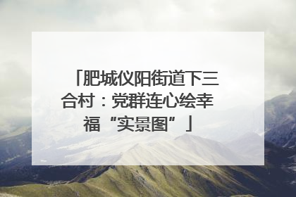肥城仪阳街道下三合村：党群连心绘幸福“实景图”