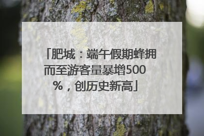 肥城：端午假期蜂拥而至游客量暴增500%，创历史新高