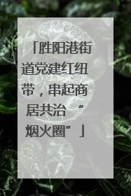 胜阳港街道党建红纽带，串起商居共治 “烟火圈”