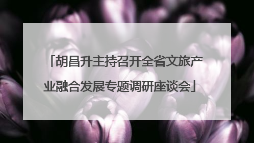 胡昌升主持召开全省文旅产业融合发展专题调研座谈会