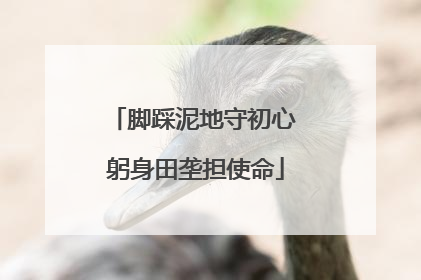 脚踩泥地守初心 躬身田垄担使命