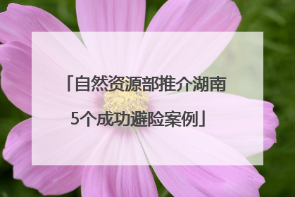 自然资源部推介湖南5个成功避险案例