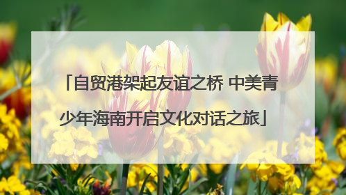 自贸港架起友谊之桥 中美青少年海南开启文化对话之旅