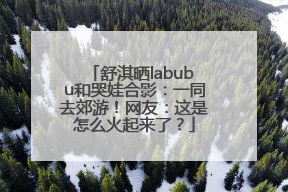 舒淇晒labubu和哭娃合影：一同去郊游！网友：这是怎么火起来了？