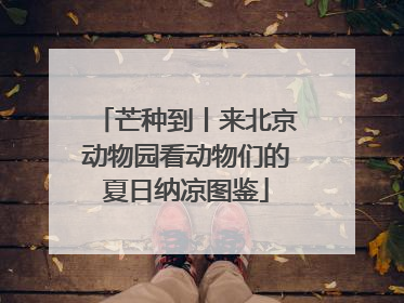 芒种到丨来北京动物园看动物们的夏日纳凉图鉴