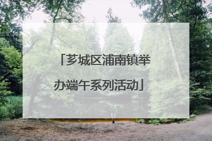 芗城区浦南镇举办端午系列活动