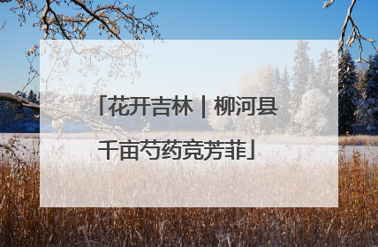 花开吉林｜柳河县千亩芍药竞芳菲