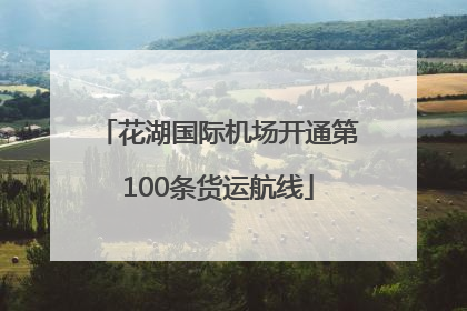 花湖国际机场开通第100条货运航线