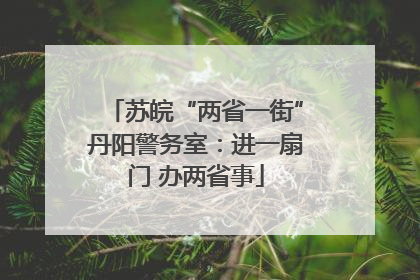 苏皖“两省一街”丹阳警务室：进一扇门 办两省事