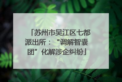 苏州市吴江区七都派出所：“调解智囊团”化解涉企纠纷