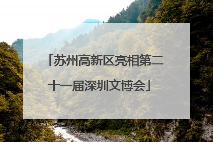 苏州高新区亮相第二十一届深圳文博会