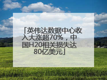 英伟达数据中心收入大涨超70%，中国H20相关损失达80亿美元