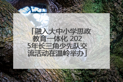 融入大中小学思政教育一体化 2025年长三角少先队交流活动在温岭举办