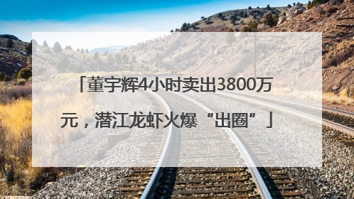 董宇辉4小时卖出3800万元，潜江龙虾火爆“出圈”