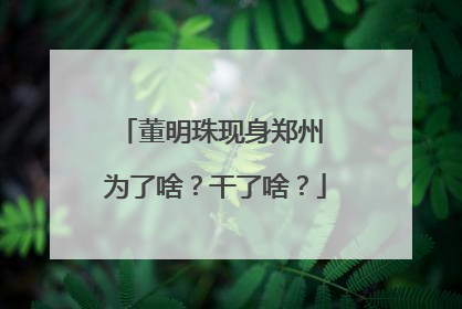 董明珠现身郑州 为了啥？干了啥？