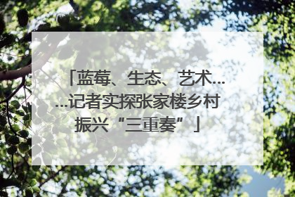 蓝莓、生态、艺术……记者实探张家楼乡村振兴“三重奏”
