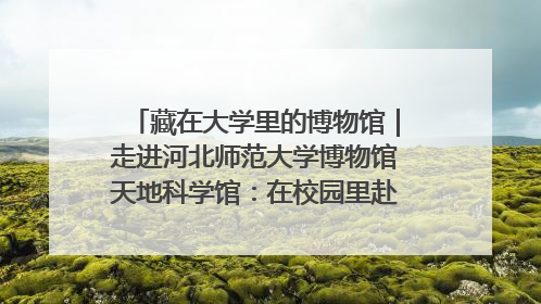 藏在大学里的博物馆｜走进河北师范大学博物馆天地科学馆：在校园里赴一场“宇宙之约”