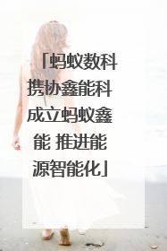 蚂蚁数科携协鑫能科成立蚂蚁鑫能 推进能源智能化