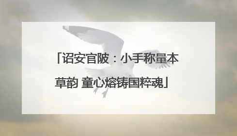 诏安官陂：小手称量本草韵 童心熔铸国粹魂