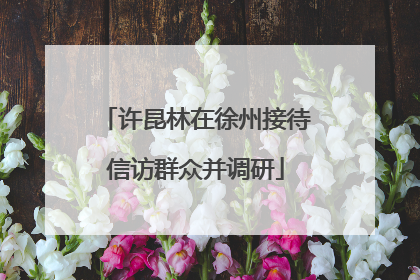 许昆林在徐州接待信访群众并调研