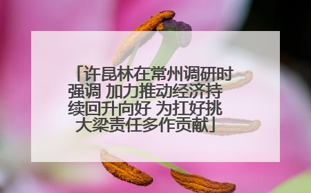 许昆林在常州调研时强调 加力推动经济持续回升向好 为扛好挑大梁责任多作贡献