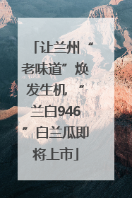 让兰州“老味道”焕发生机 “兰白946”白兰瓜即将上市