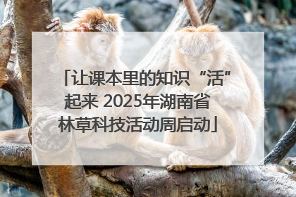 让课本里的知识“活”起来 2025年湖南省林草科技活动周启动