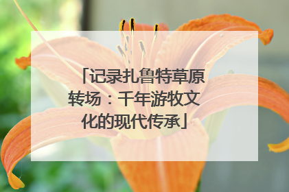 记录扎鲁特草原转场：千年游牧文化的现代传承