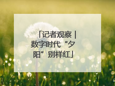 记者观察｜数字时代“夕阳”别样红