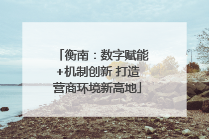 衡南：数字赋能+机制创新 打造营商环境新高地