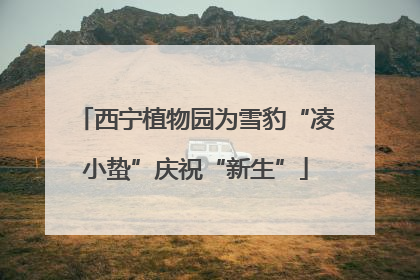 西宁植物园为雪豹“凌小蛰”庆祝“新生”