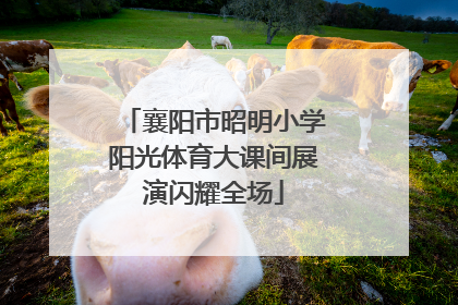 襄阳市昭明小学阳光体育大课间展演闪耀全场