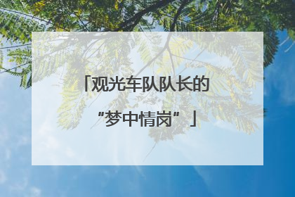 观光车队队长的“梦中情岗”