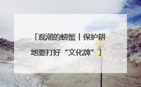 观潮的螃蟹丨保护耕地要打好“文化牌”