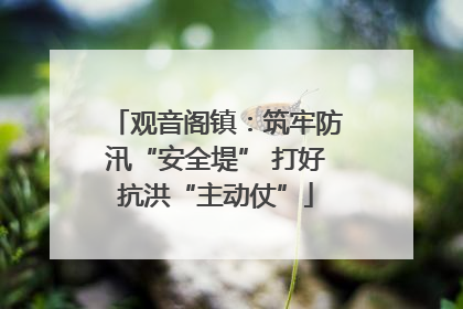 观音阁镇：筑牢防汛“安全堤” 打好抗洪“主动仗”