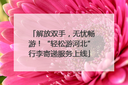 解放双手，无忧畅游！“轻松游河北”行李寄递服务上线