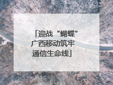 迎战“蝴蝶” 广西移动筑牢通信生命线