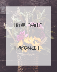 近观“两山”丨西溪往事