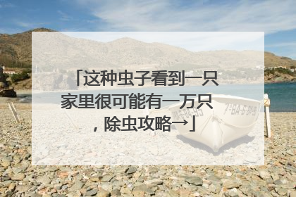 这种虫子看到一只家里很可能有一万只，除虫攻略→