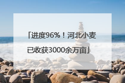 进度96%！河北小麦已收获3000余万亩