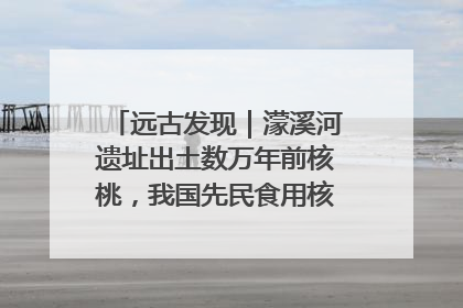 远古发现｜濛溪河遗址出土数万年前核桃，我国先民食用核桃历史大幅提前