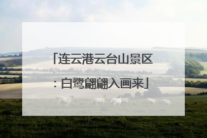 连云港云台山景区：白鹭翩翩入画来