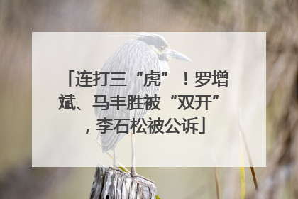 连打三“虎”！罗增斌、马丰胜被“双开”，李石松被公诉